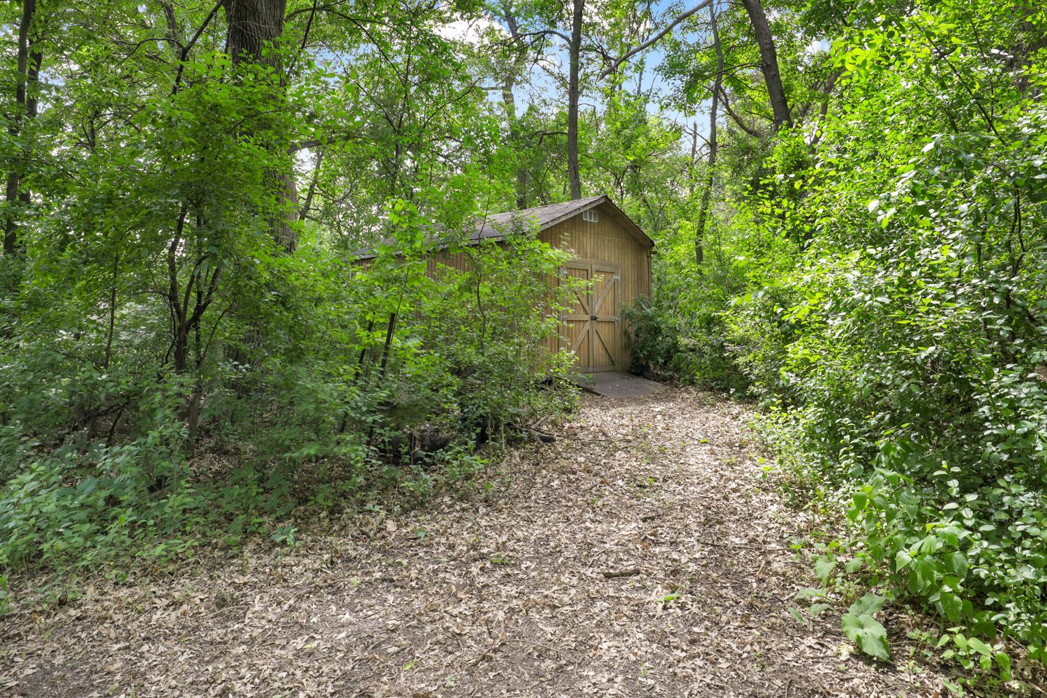 Shed in the backyard