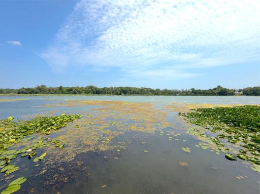 4562 Fillmore Avenue NW, Maple Lake, MN 55358