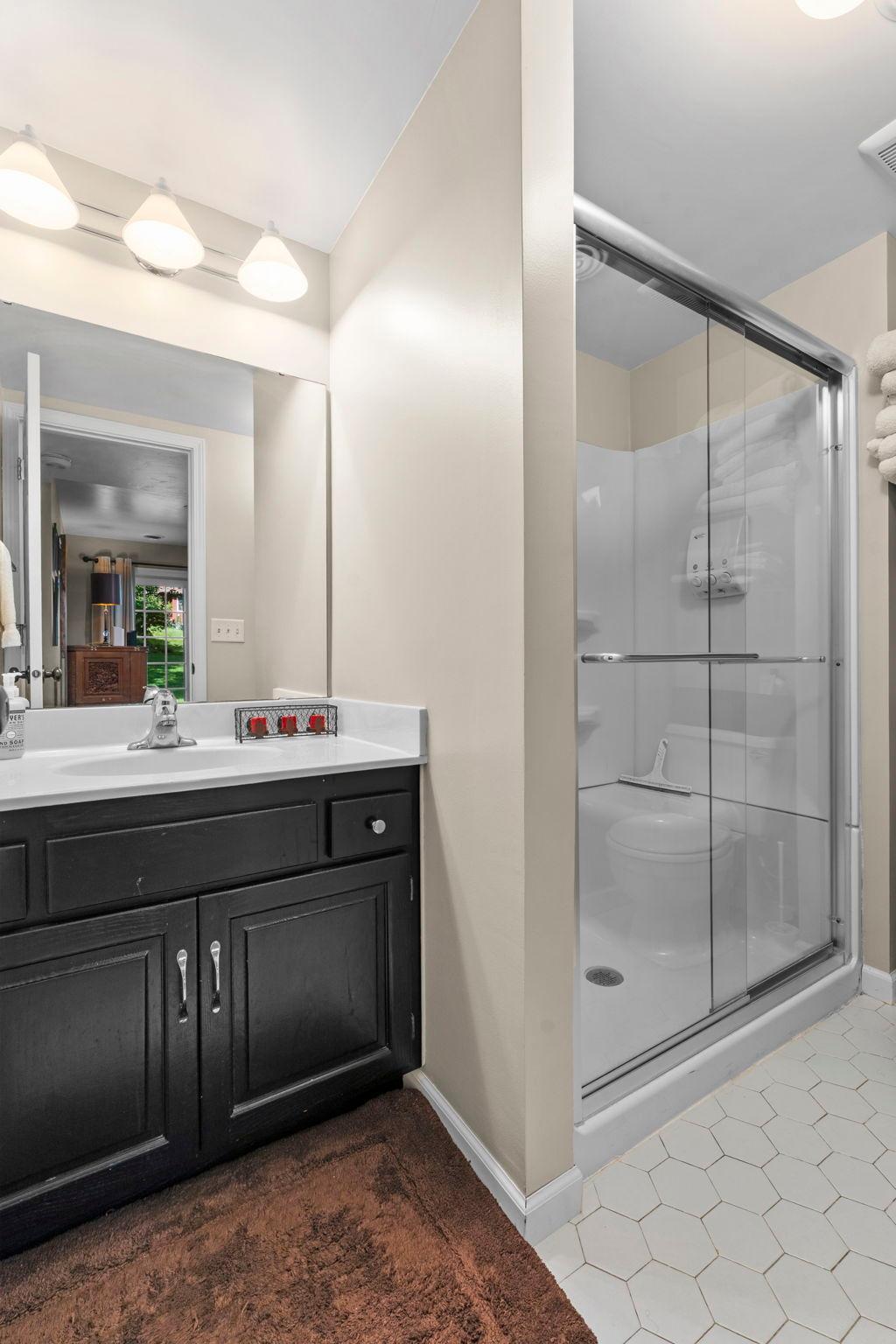 Lower Level Bathroom