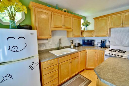 10811 55th Street SE, Clear Lake, MN 55319