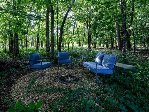 Woods behind home