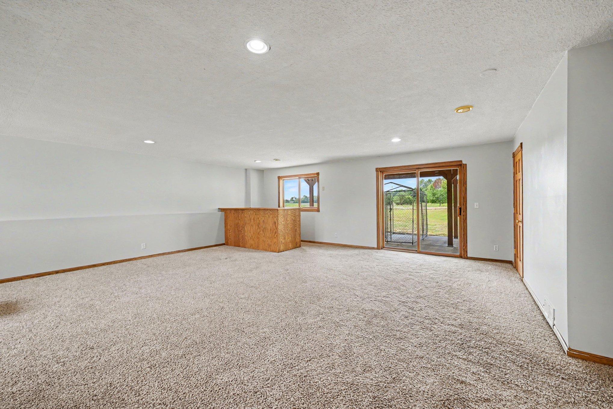 Expansive lower-level family room with walkout access to the backyard.