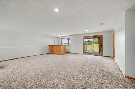 Expansive lower-level family room with walkout access to the backyard.