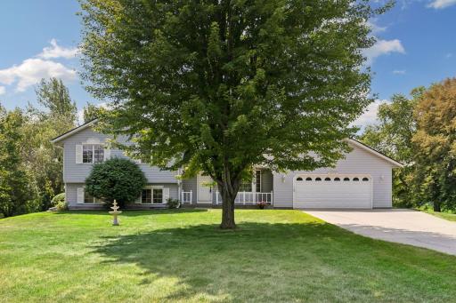 Beautiful mature tree in front yard