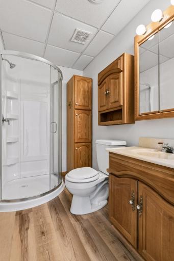 LL Bath w/ New Shower and LVP