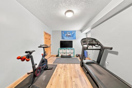 Fifth Bedroom with egress is currently used as an exercize room