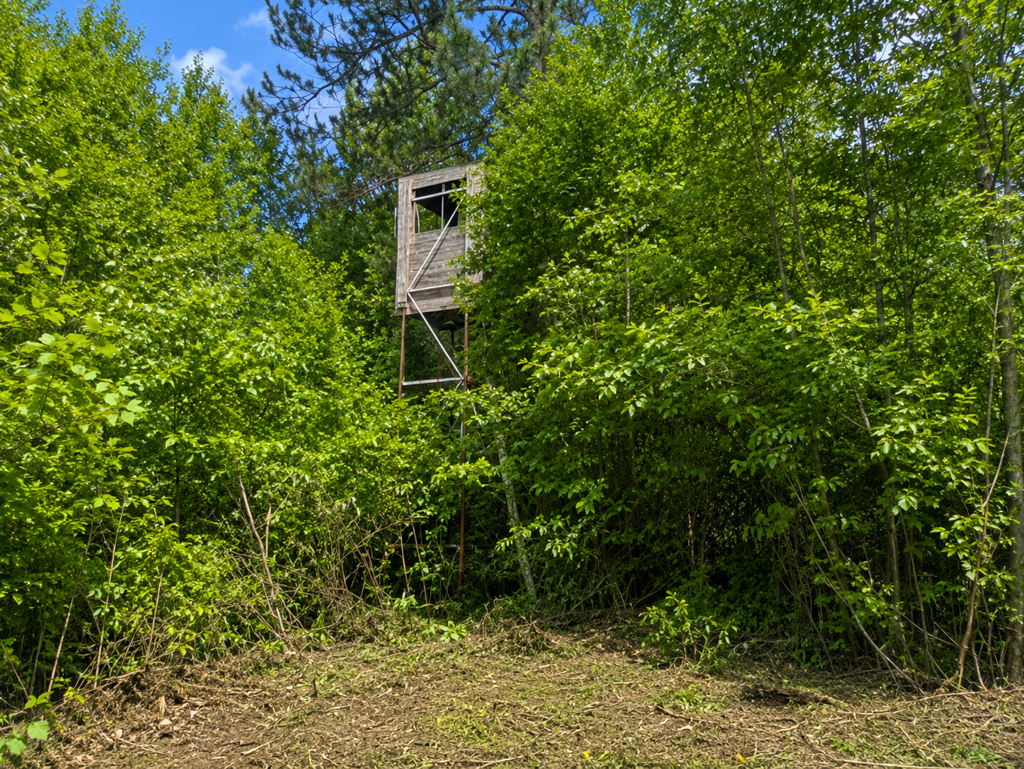 Deer Stand