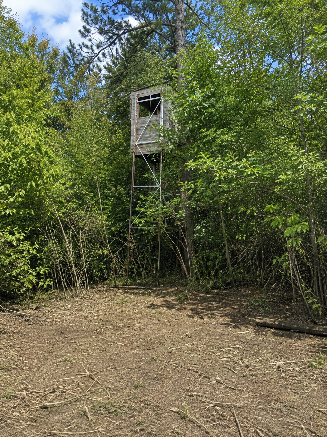 Deer Stand