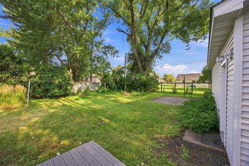 Back yard with trees and shade.