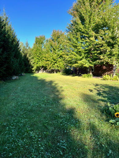 spacious side yard