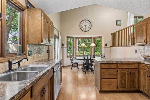 4 Pleasant View Lane, Circle Pines, MN 55014