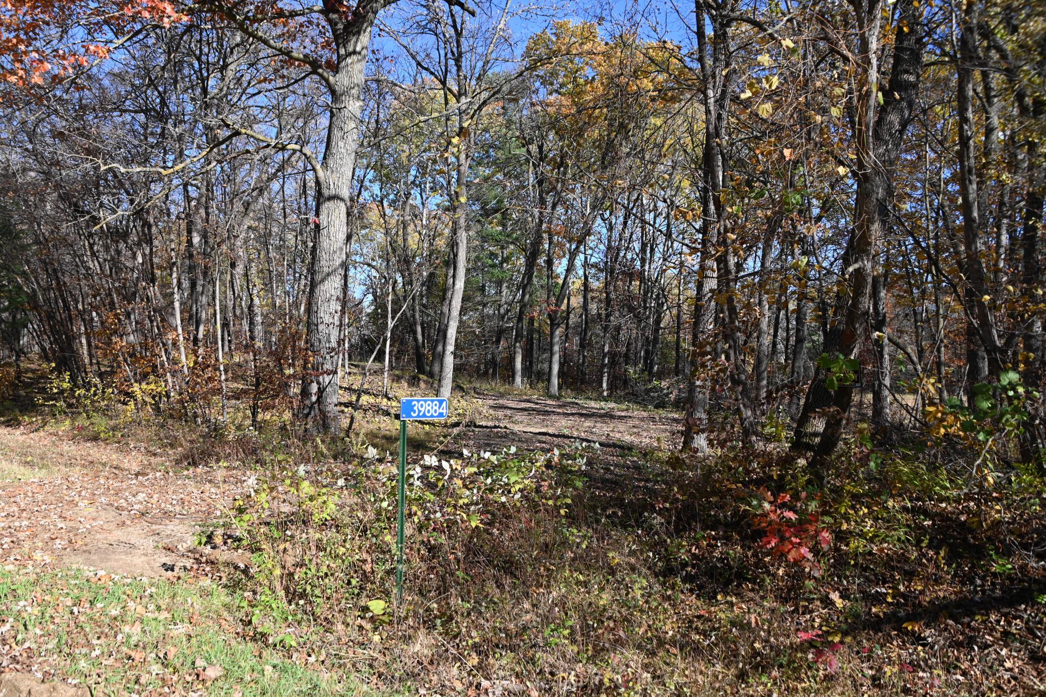 DSC_8579.JPG