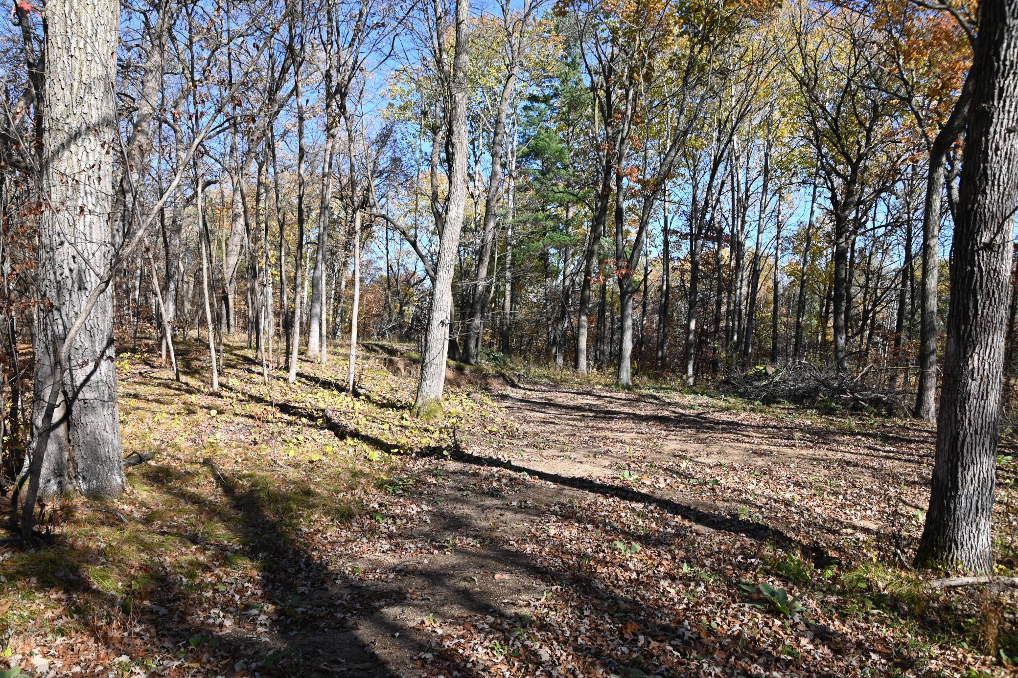 DSC_8583.JPG