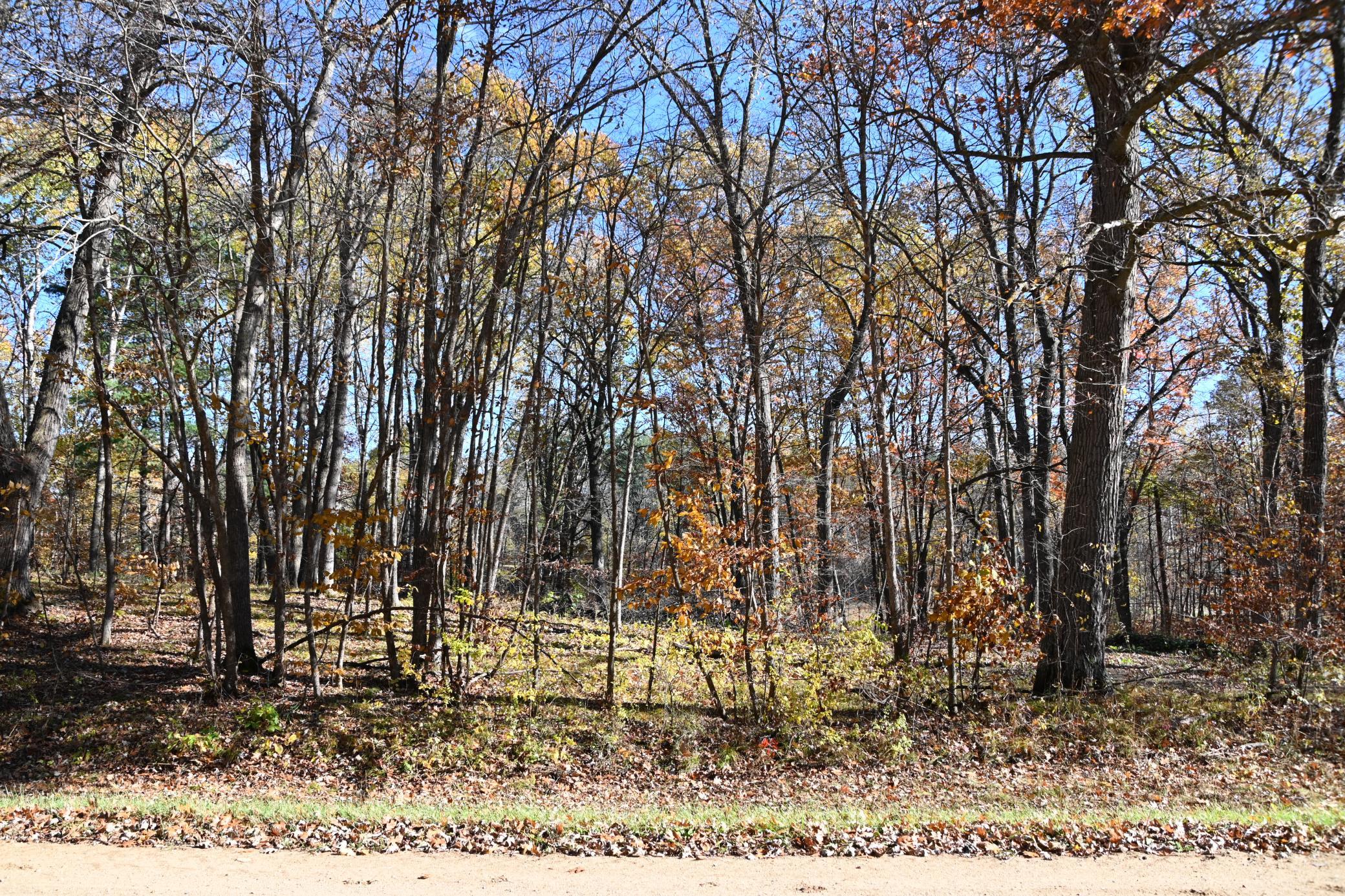 DSC_8596.JPG