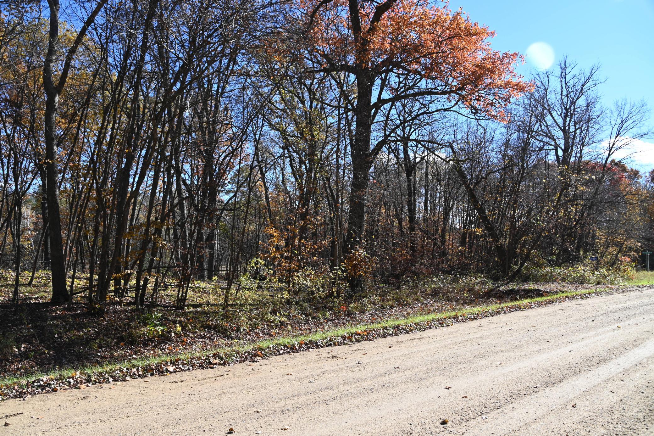 DSC_8598.JPG