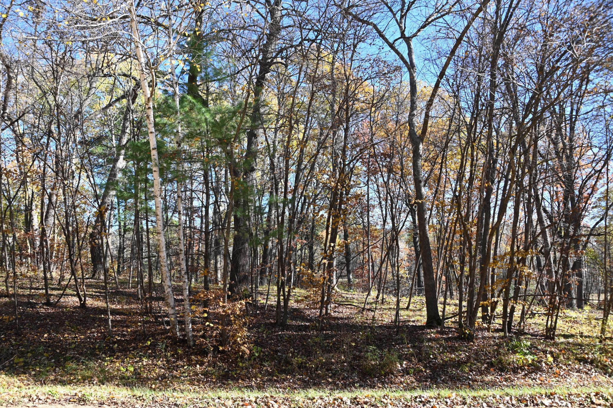 DSC_8597.JPG