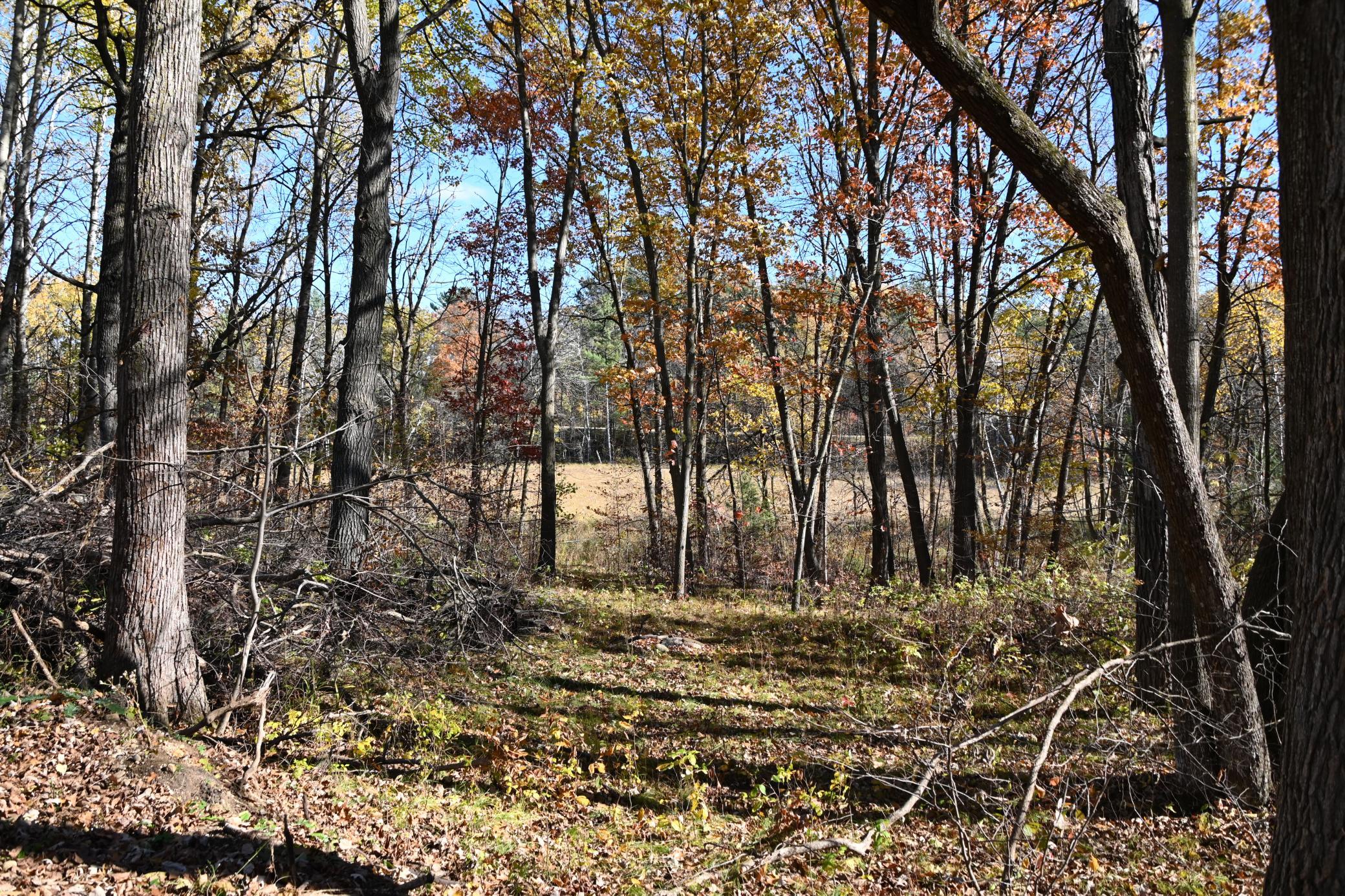 DSC_8587.JPG