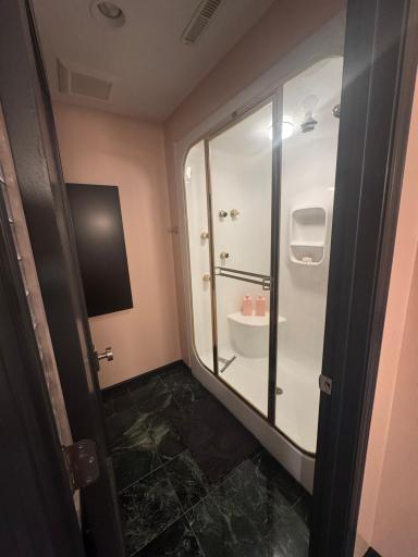 Steam Shower