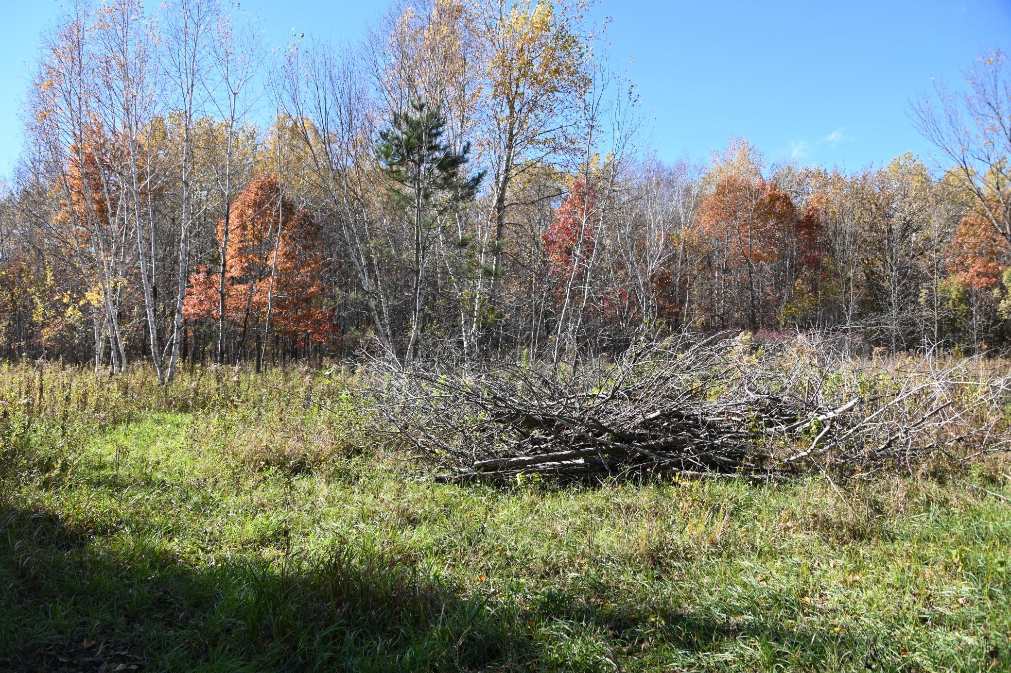 DSC_8524.JPG