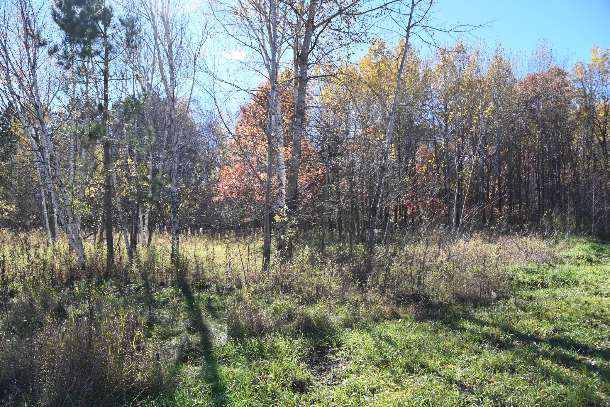 DSC_8527.JPG