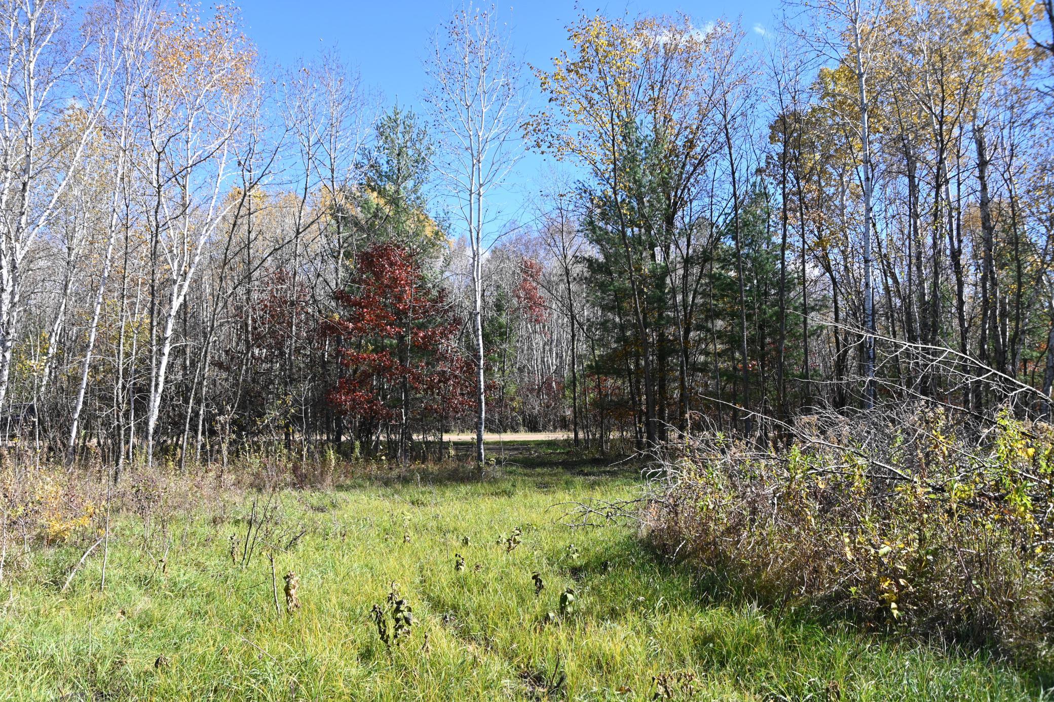 DSC_8531.JPG