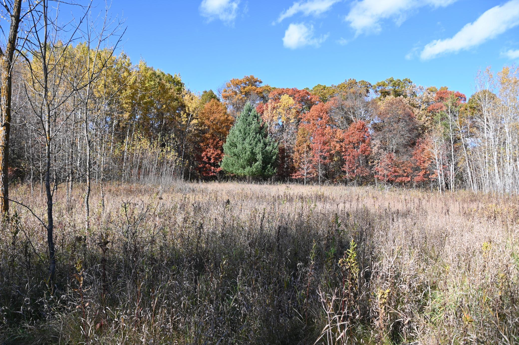 DSC_8529.JPG