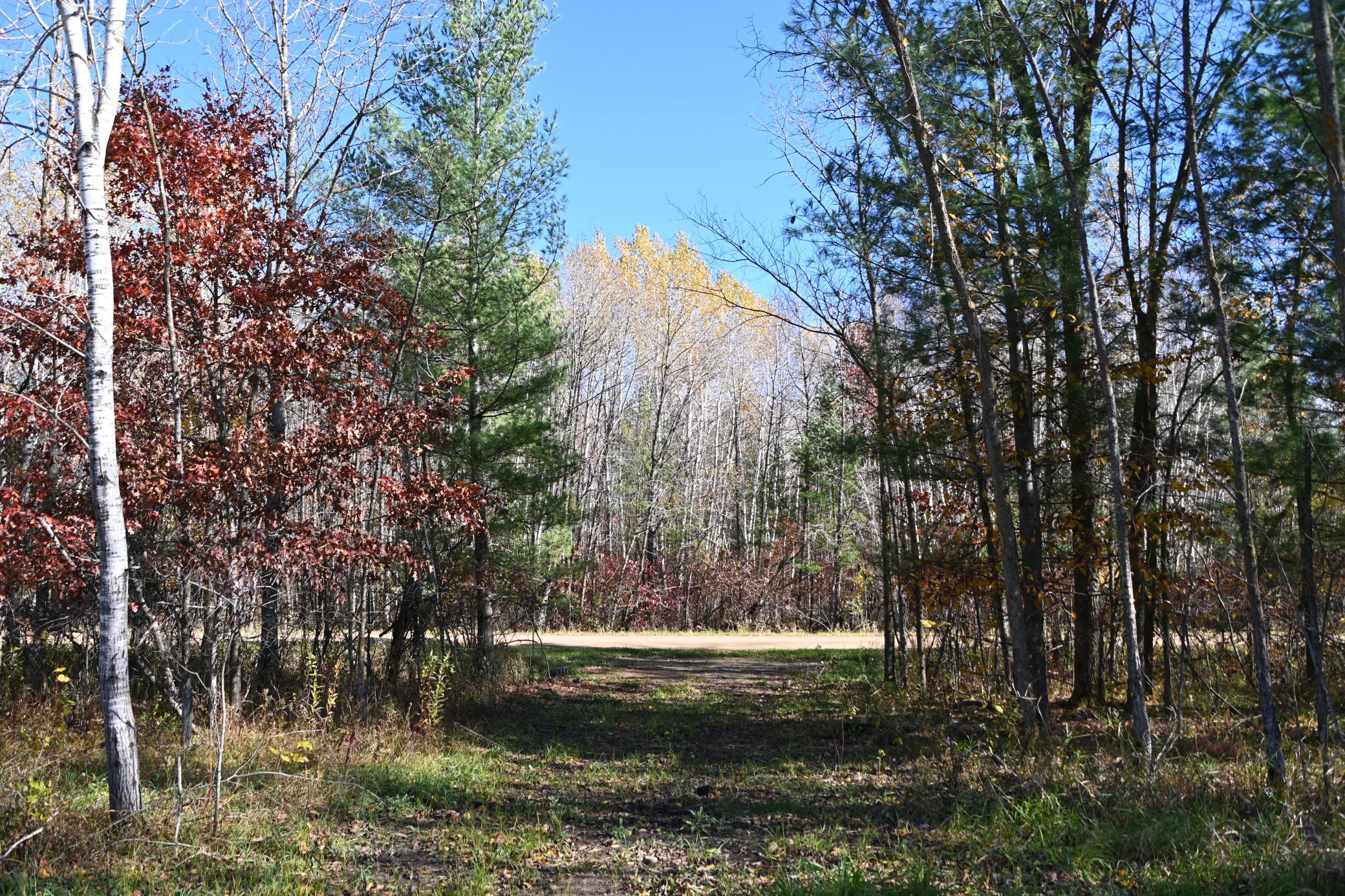 DSC_8533.JPG