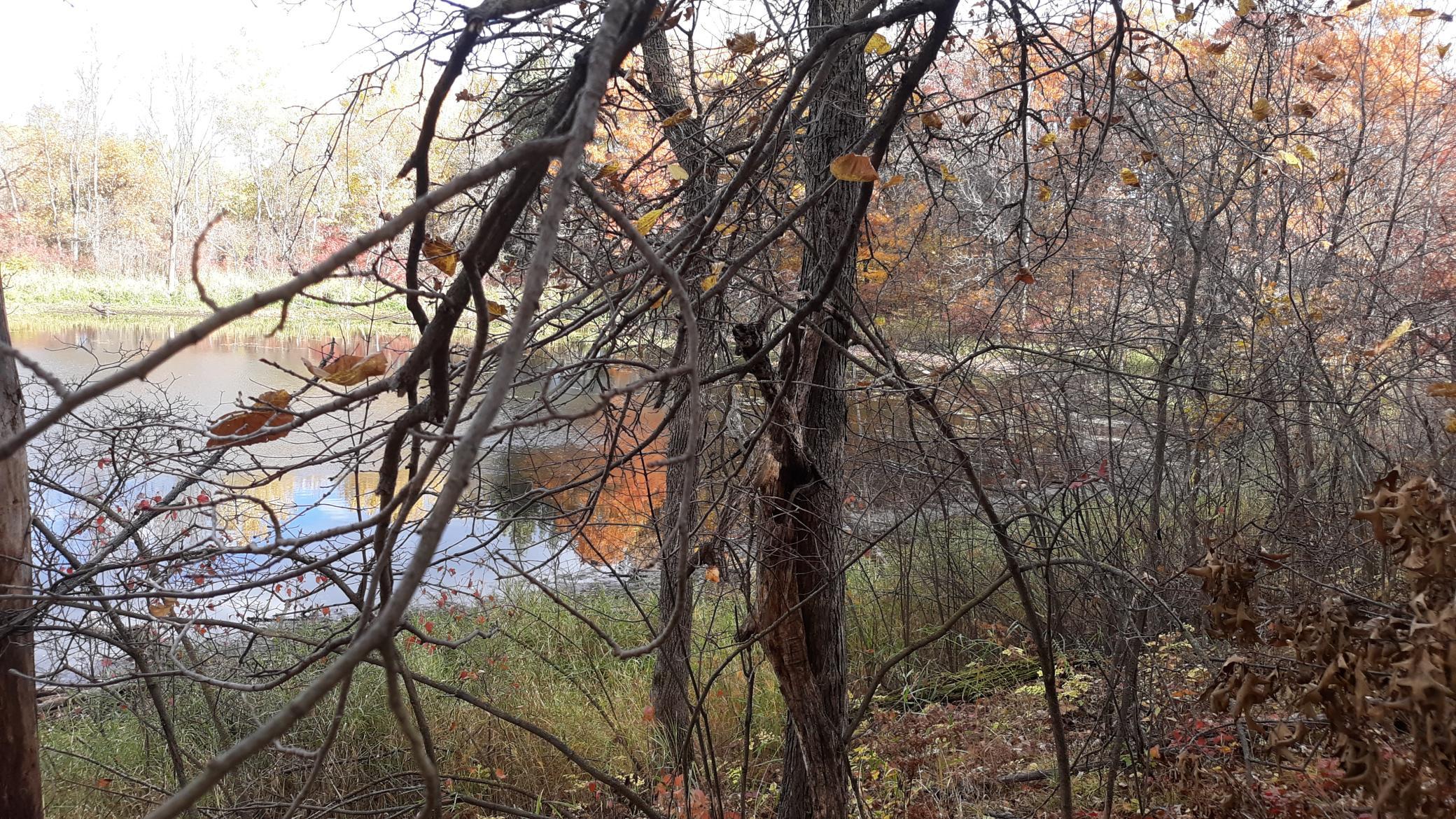 20231020_155354.jpg