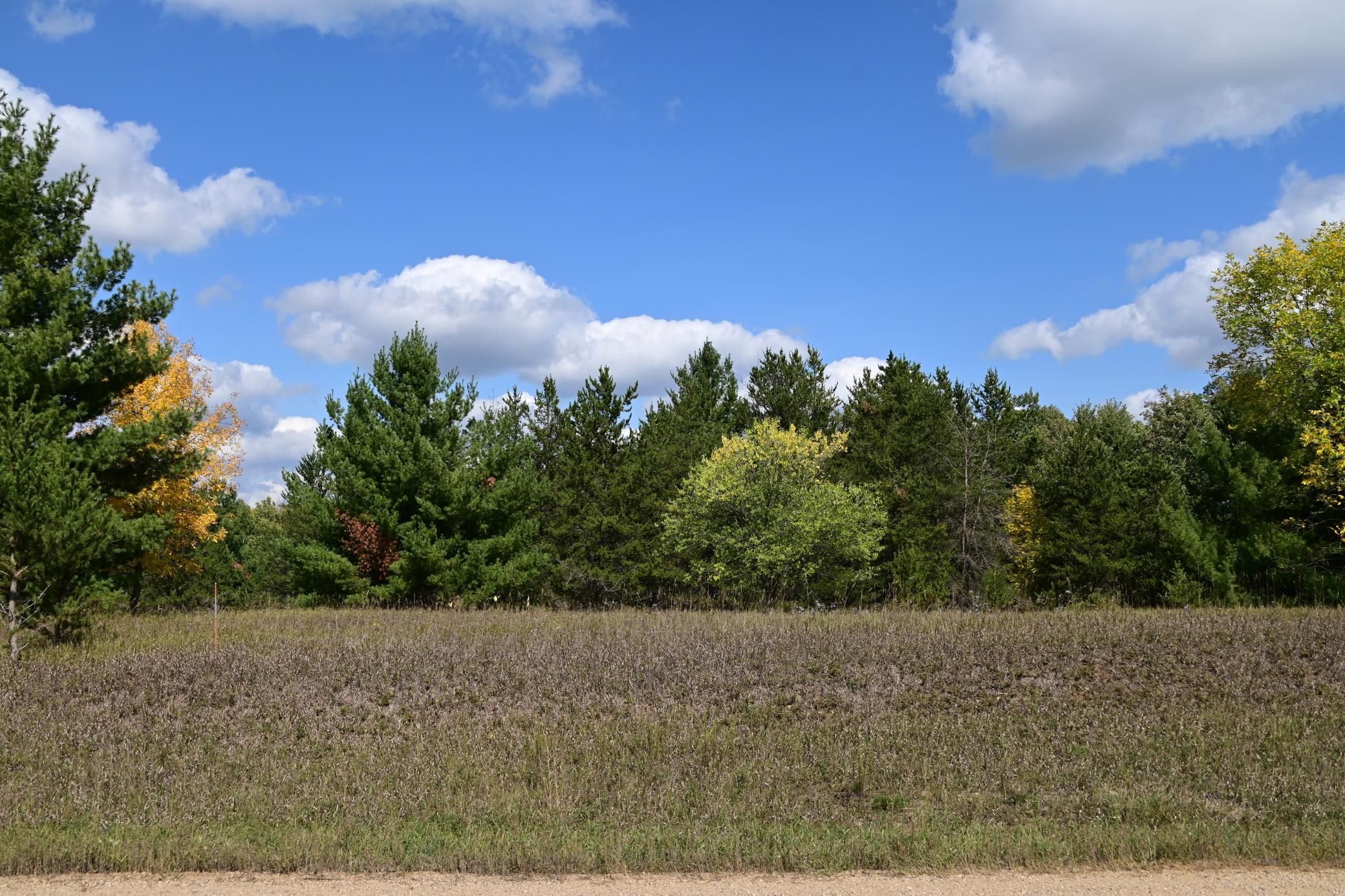 DSC_6719.JPG