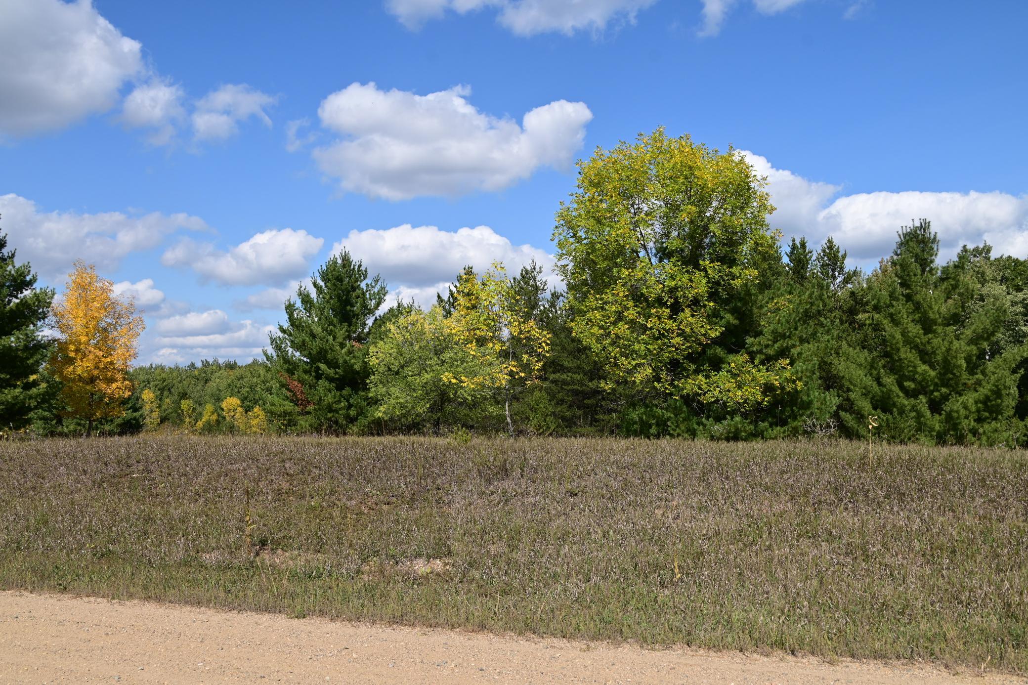 DSC_6709.JPG