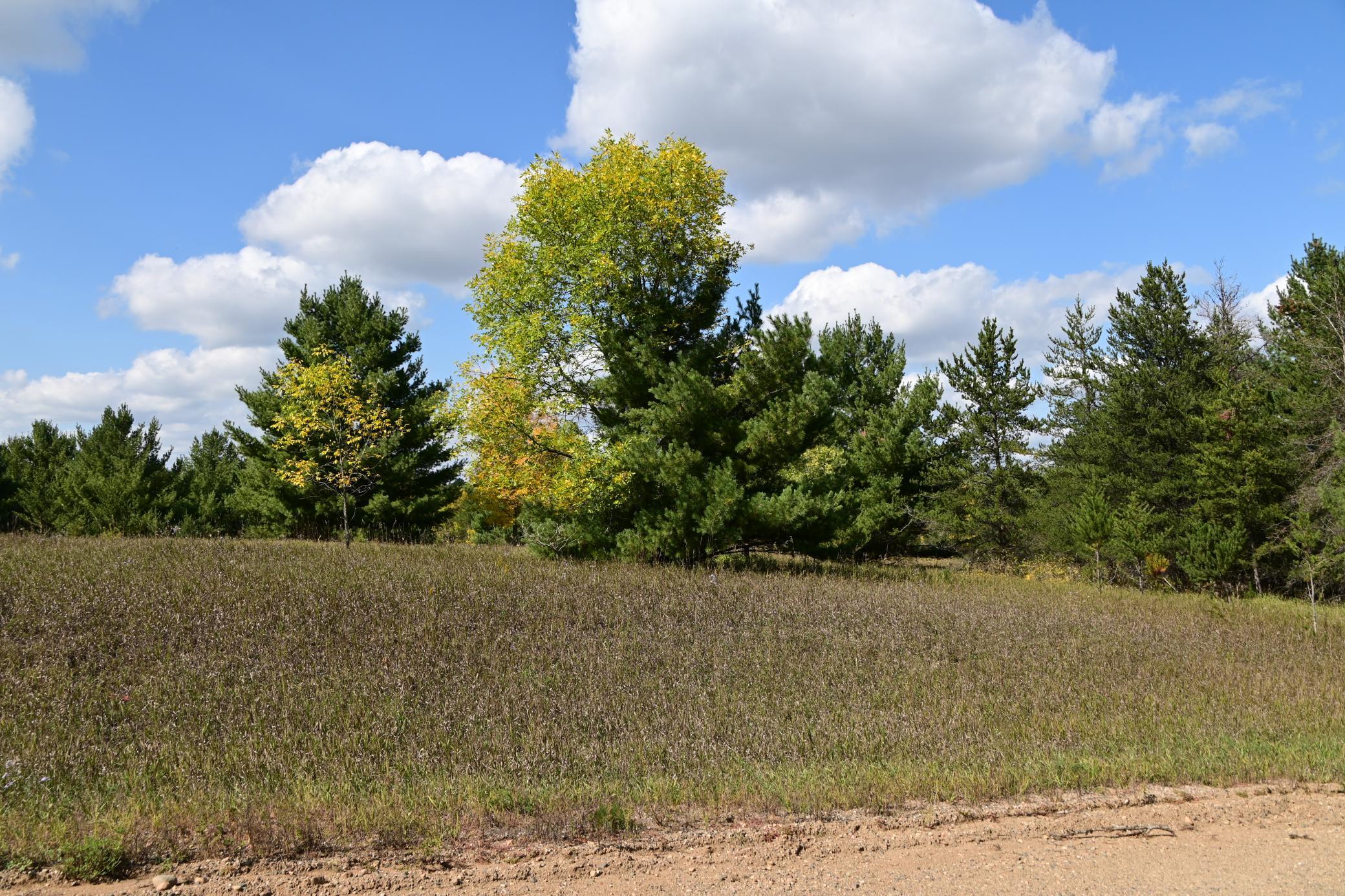 DSC_6712.JPG