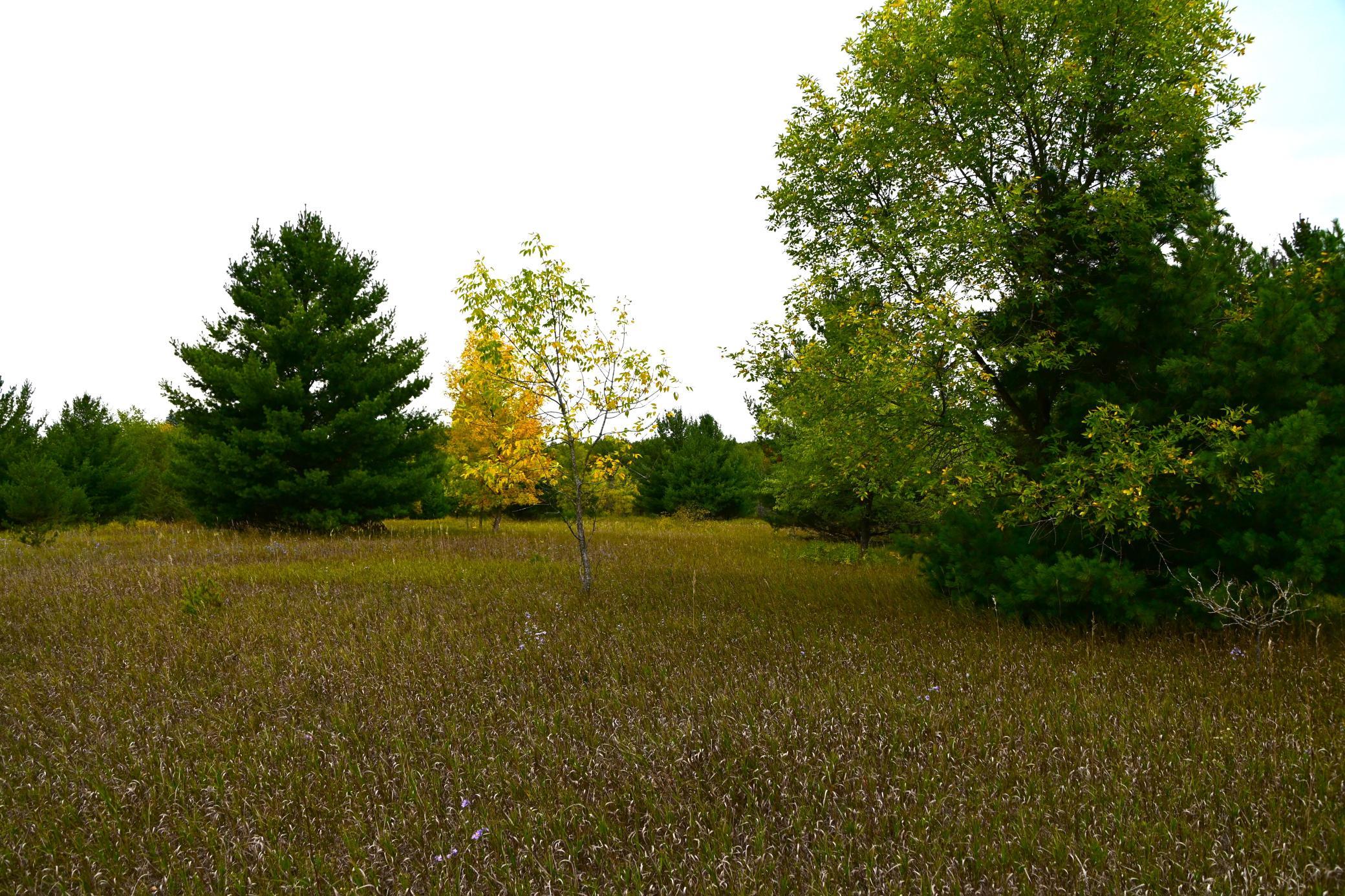 DSC_6622 edit.JPG