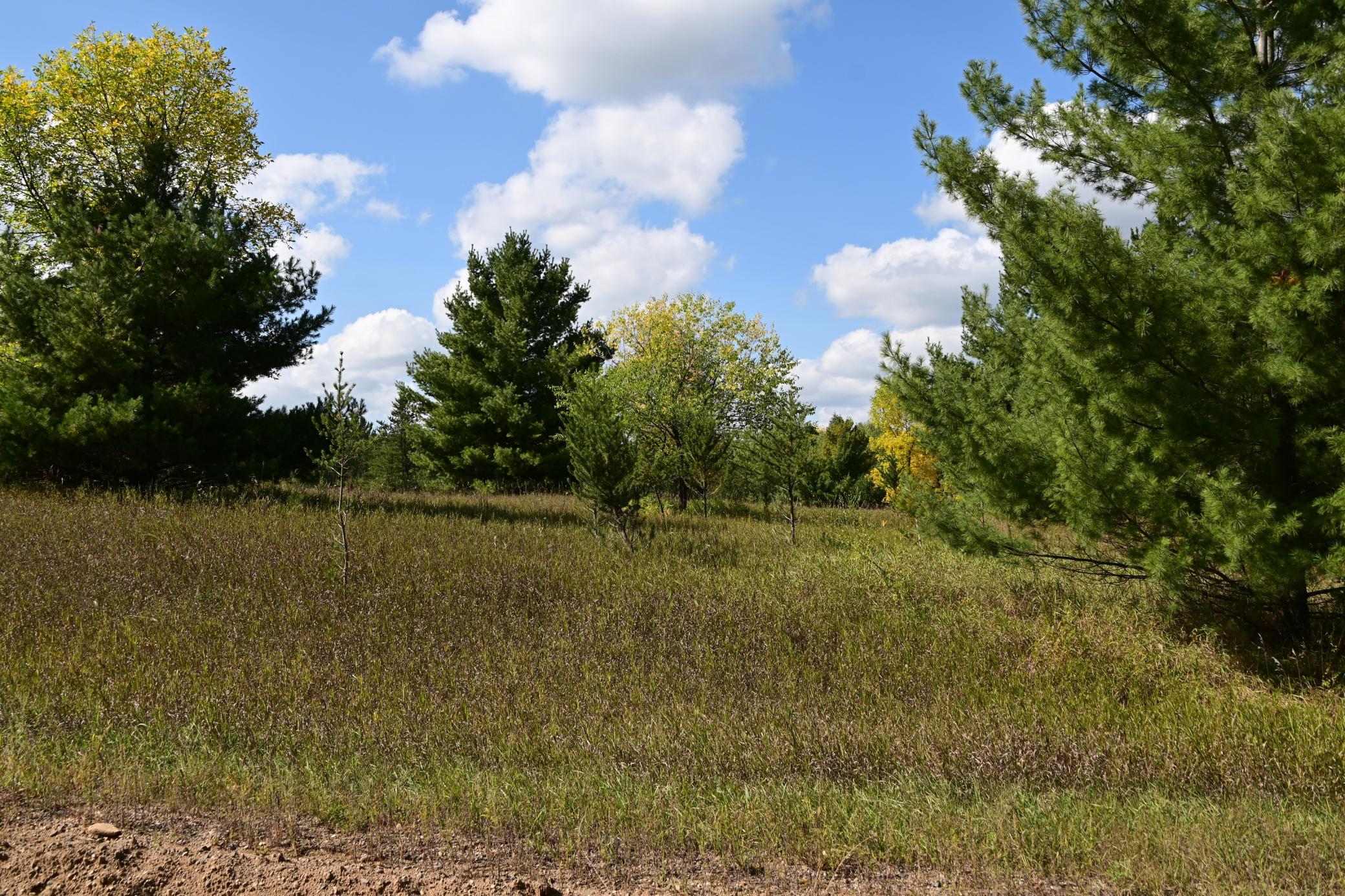 DSC_6715.JPG