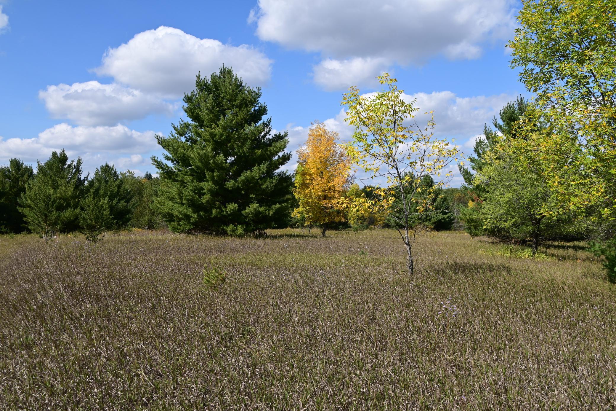 DSC_6717.JPG