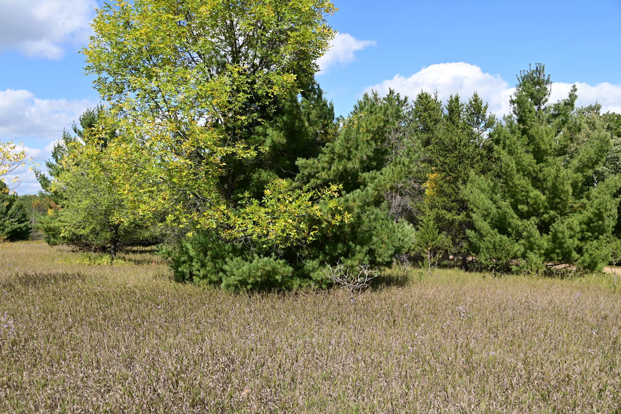 DSC_6716.JPG