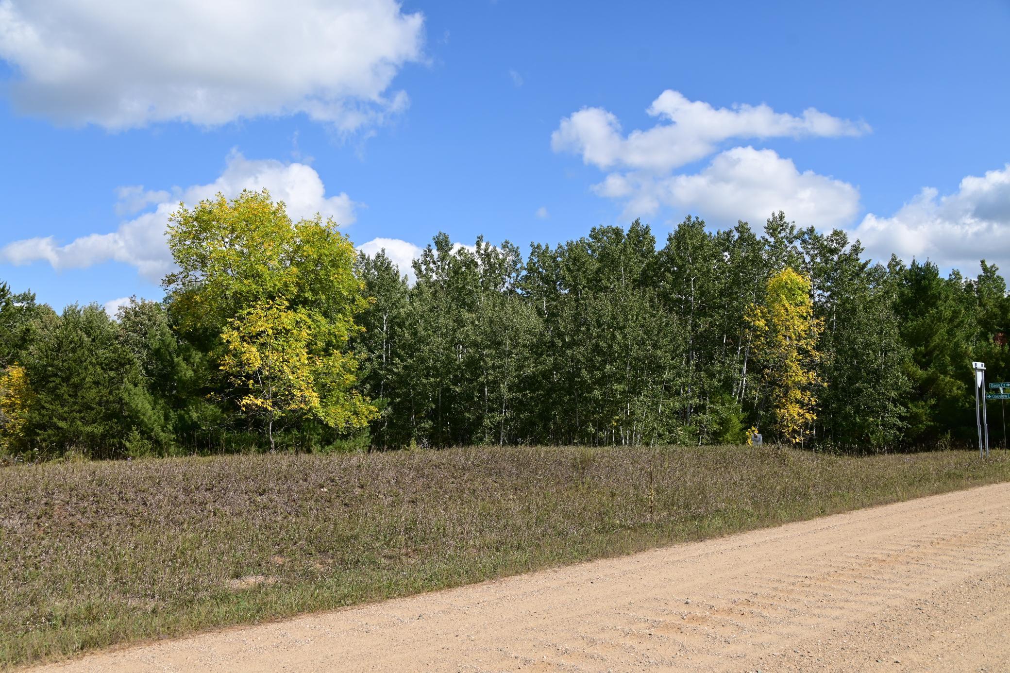 DSC_6720.JPG