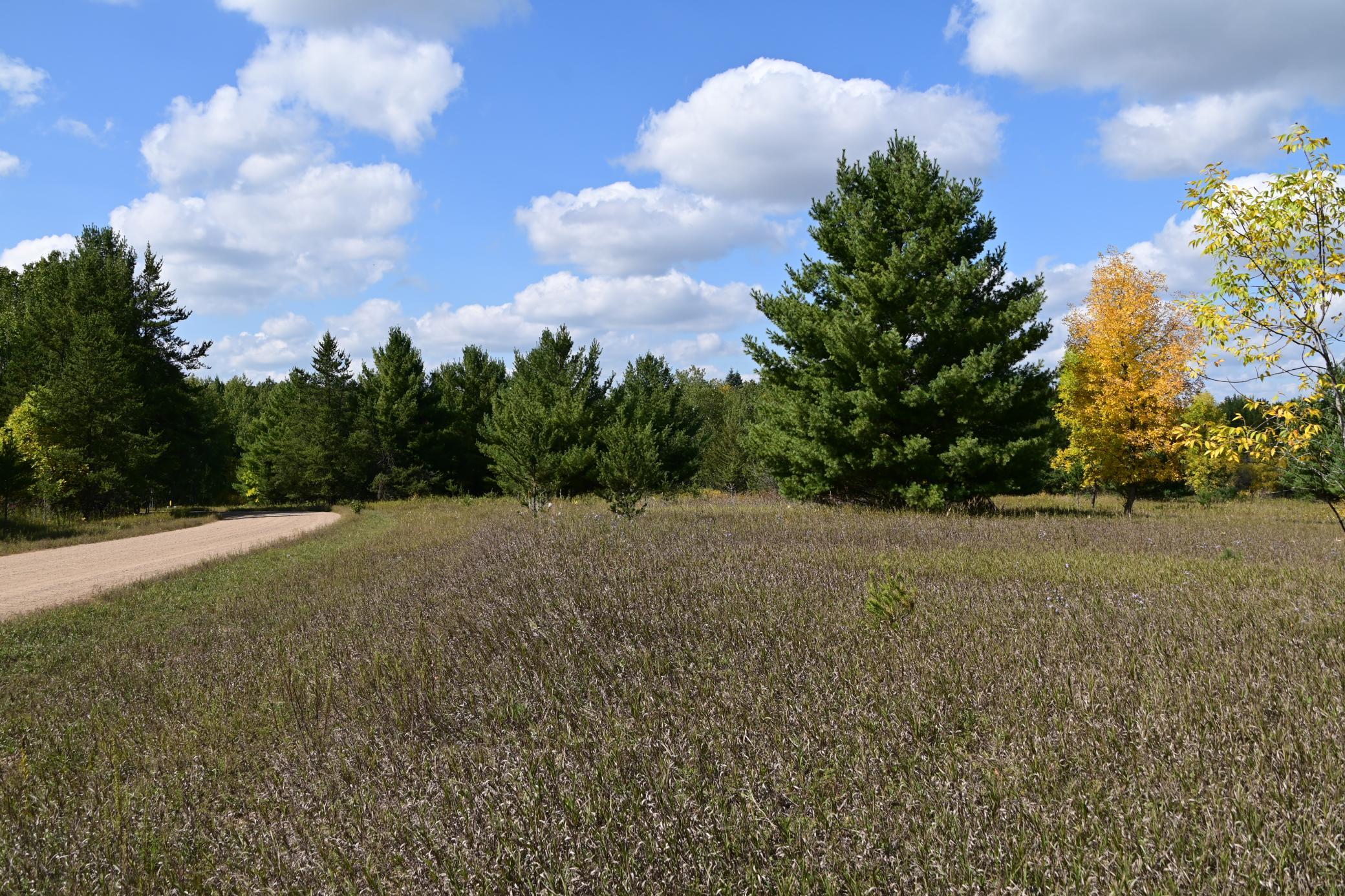 DSC_6718.JPG