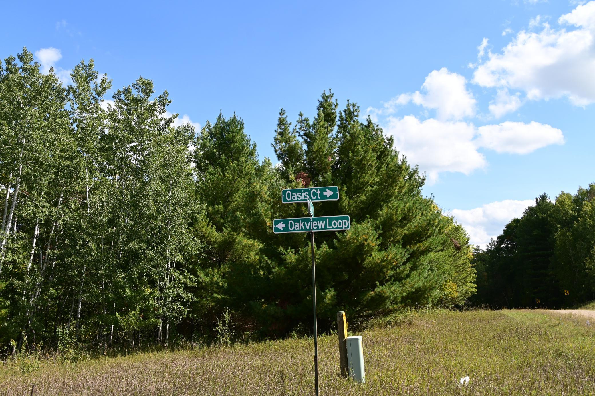 DSC_6711.JPG