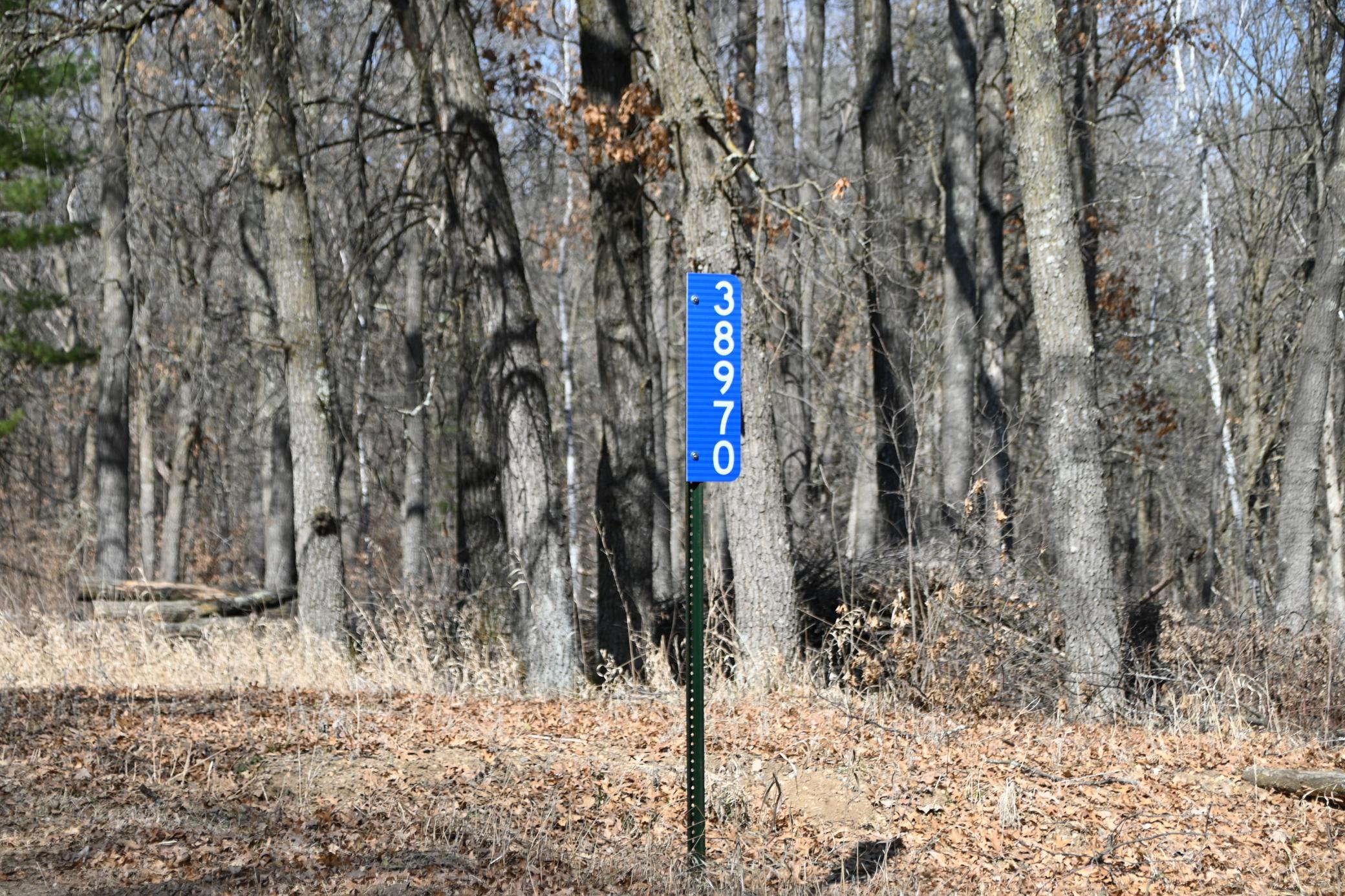 DSC_7738.JPG