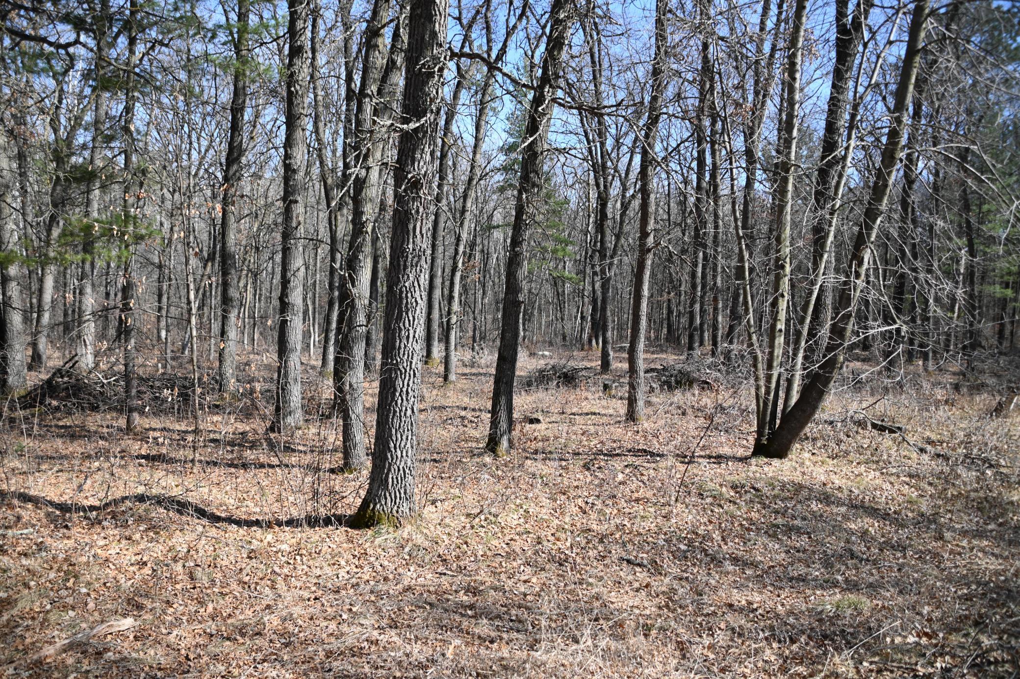 DSC_7737.JPG