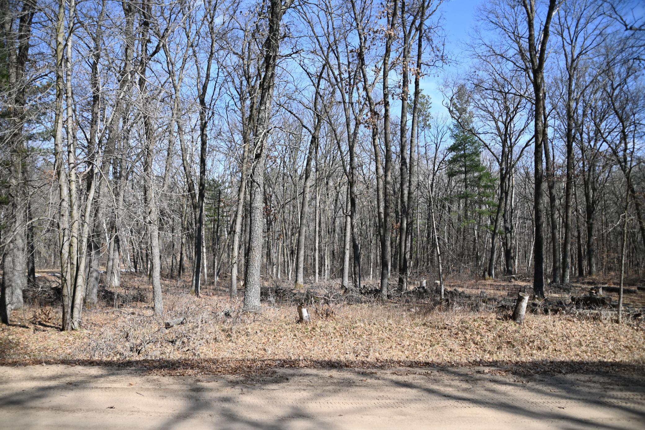 DSC_7726.JPG