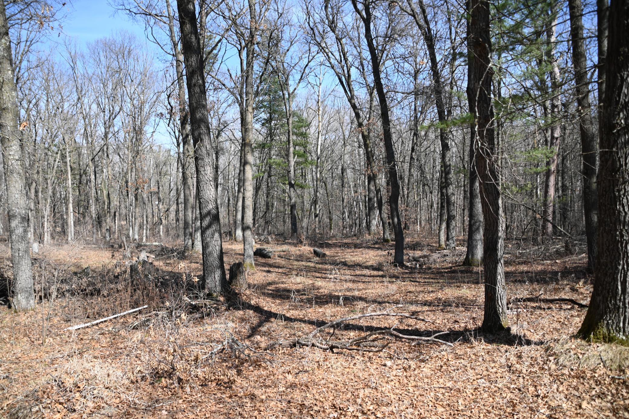 DSC_7716.JPG
