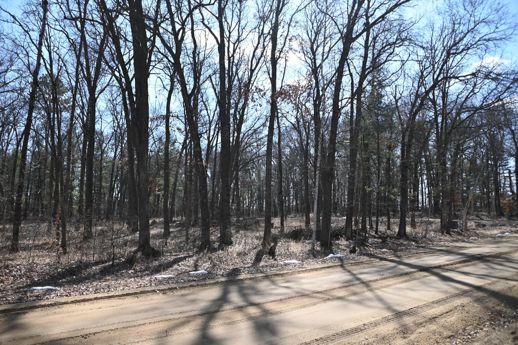 DSC_7732.JPG