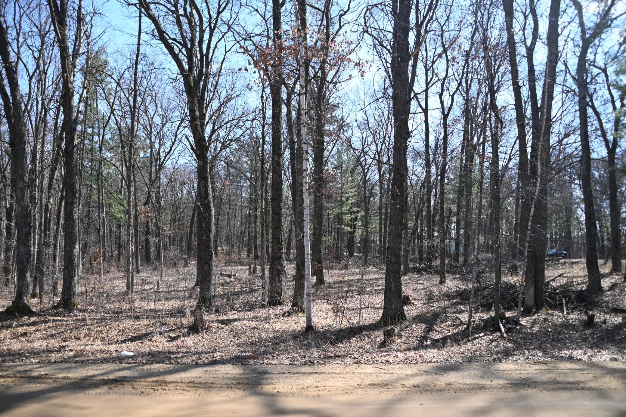 DSC_7731.JPG