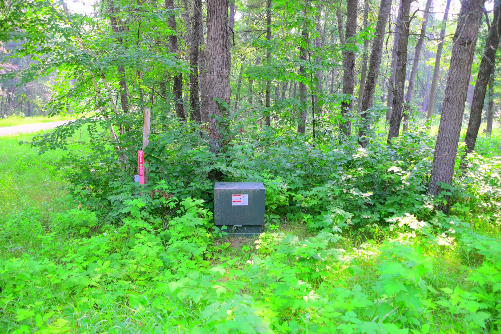 DSC_8298.JPG