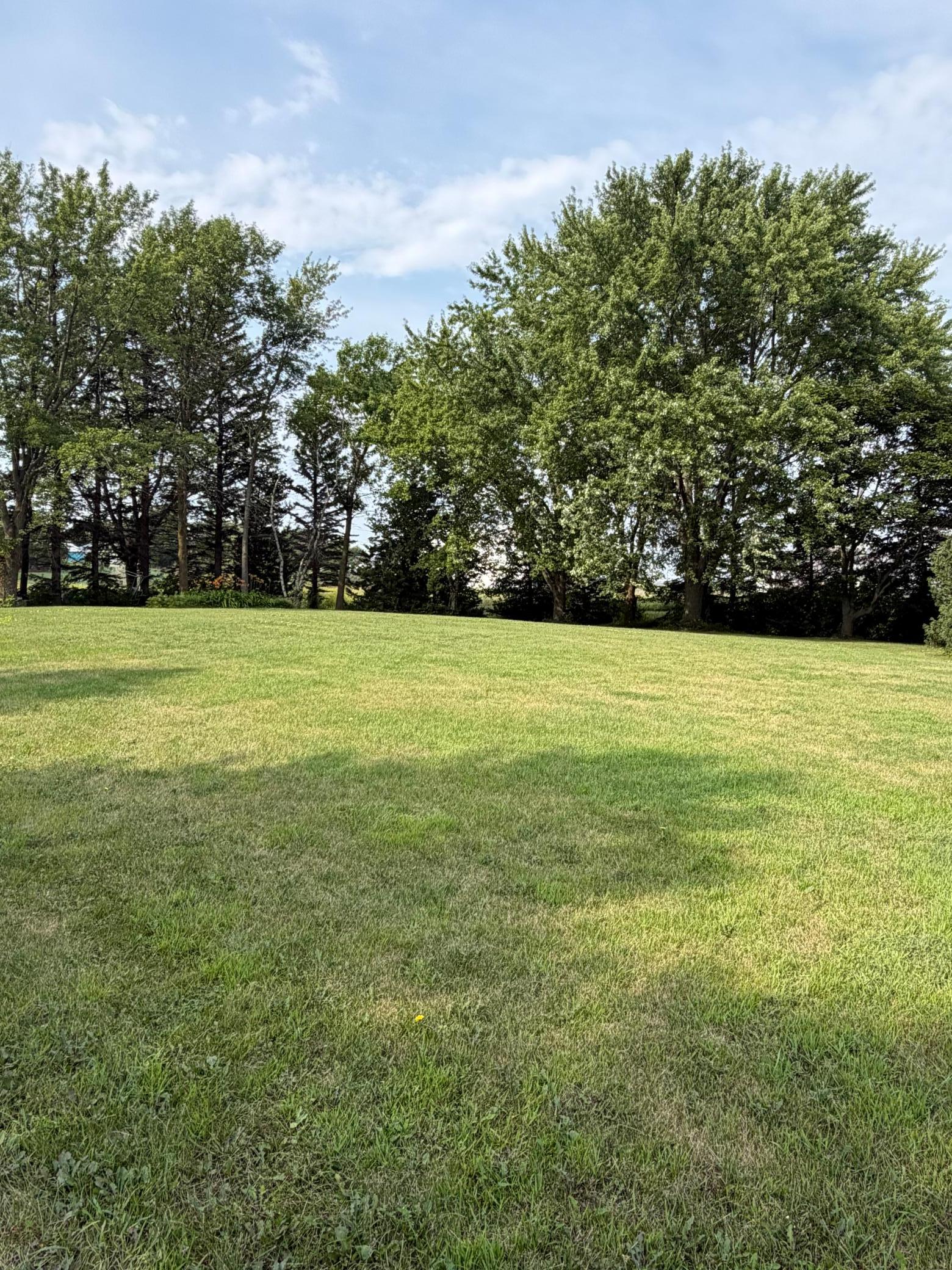 Large Lot