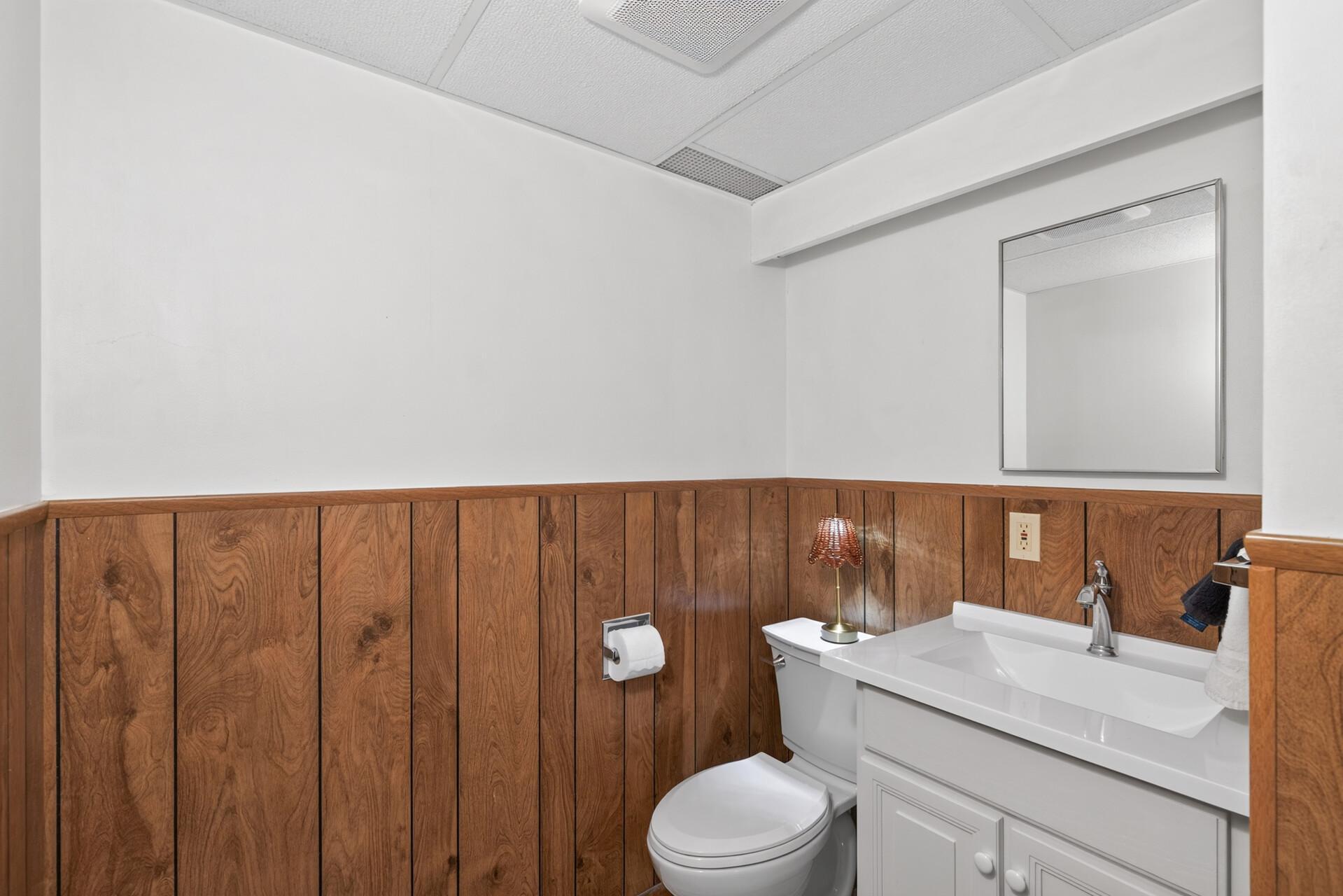 Lower level full bathroom