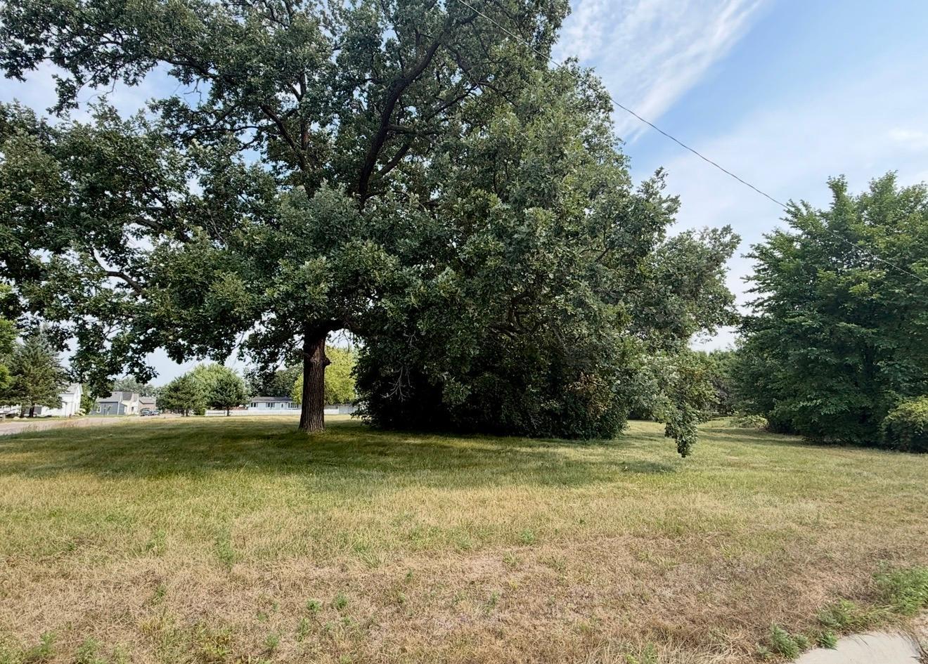 Mature Trees