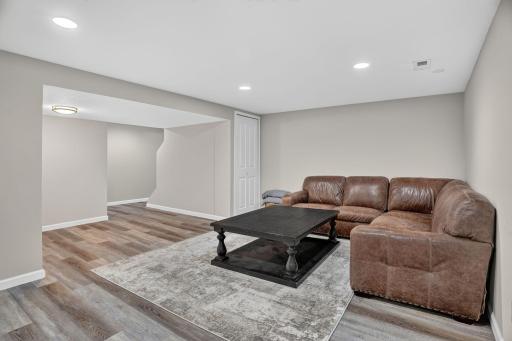 Lower Level Family Room