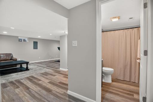 Large Lower Level w/ Extra Bed & Bath